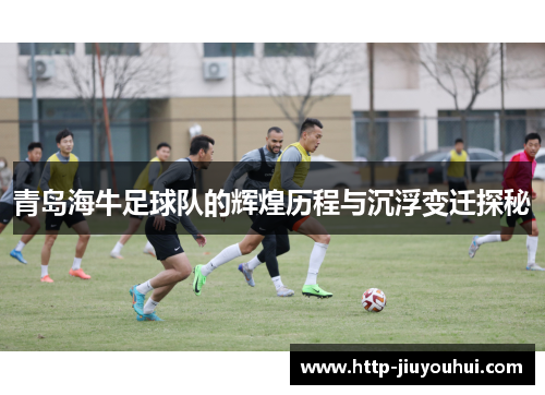 青岛海牛足球队的辉煌历程与沉浮变迁探秘